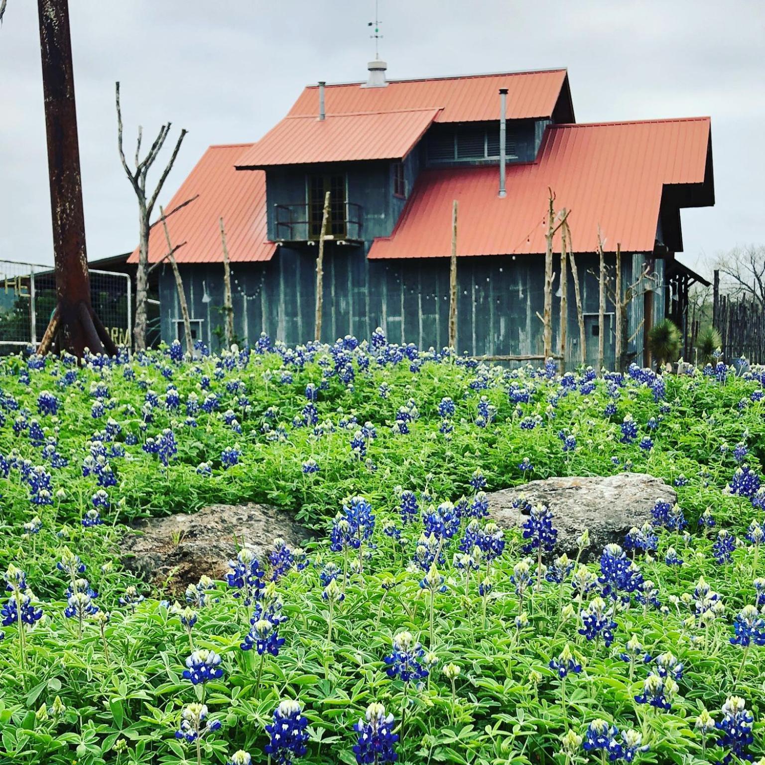 윔벌리 Montesino Ranch Lodging 빌라 외부 사진